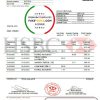 France HSBC bank statement template in .doc and .pdf format