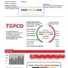 Japan Tokyo Electric Power Company (TEPCO) electricity utility bill template in Word and PDF format
