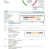 Germany Volksbank Jever statement template in Excel and PDF format