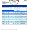 Hong Kong Citibank proof of address bank statement template in Excel and PDF format