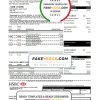 Hong Kong HSBC bank Visa Platinum credit card statement template in .xls and .pdf file format