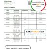 Hungary OTP Bank statement template in Word and PDF format