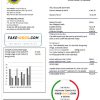 Laos Electricite du Laos electricity utility bill template in Word and PDF format