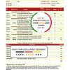 India ICICI Bank statement template in .xls and .pdf file format