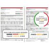 India ICICI Bank statement template in Excel and PDF format (2 pages)