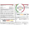 India ICICI Bank statement template in Word and PDF format (2 pages)