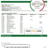 India Punjab and Sind Bank statement template in Word and PDF format