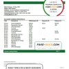 India Punjab National Bank statement Word and PDF template, 2 pages