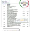 Ireland Bank of Ireland Bank statement template in Word and PDF format