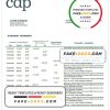Italy Cassa Depositi e Prestiti bank statement template in Word and PDF format, fully editable
