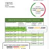 Italy Citibank statement template in .doc and .pdf format, fully editable