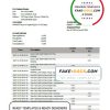 Japan Chiba bank statement template in Word and PDF format Japan Chiba bank statement template in Word and PDF format