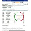 Japan Mizuho bank statement template in .xls and .pdf file format Japan Mizuho bank statement template in .xls and .pdf file format