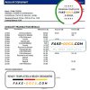 Japan Mizuho Bank statement template in Word and PDF format, good for address prove