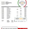 Japan MUFG bank statement template in Word and PDF format