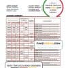 Japan Rakuten bank statement template in Word and PDF format