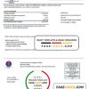 Libya General Electric Company electricity utility bill template in Word and PDF format