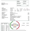 Liechtenstein Ische Kraftwerke (LKW) electricity utility bill template in Word and PDF format