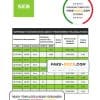 Latvia SEB bank statement template, Word and PDF format (.doc and .pdf)