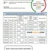 Lebanon Cedrus Bank statement template in Word and PDF format