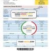 Malaysia Tenaga Nasional electricity utility bill template in Word and PDF format