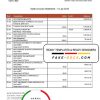 Libya Assaray (ATIB) bank statement easy to fill template in Word and PDF format