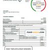 Libya Jumhouria Bank statement template in Word and PDF format