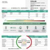 Mexico Federal Electricity Commission (CFE) utility bill template in Word and PDF format, fully editable
