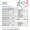 Luxembourg Sogexia Bank statement template in Word and PDF format