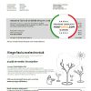 Moldova Orange Factura utility bill template in Word and PDF format