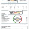 Montenegro Elektroprivreda Crne Gore (EPCG) electricity utility bill template in Word and PDF format