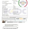 Nigeria Eko Electricity Distribution Company (EKEDC) utility bill template in Word and PDF format