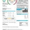 Nigeria Nigerian Electricity Regulatory Commission electricity utility bill template in Word and PDF format