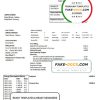 Palestine Electric Company (PEC) utility bill template in Word and PDF format