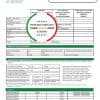 Paraguay Petrobras Paraguay Operations and Logistics gas company utility bill template in Word and PDF format