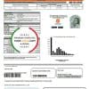 Philippines Meralco electricity utility bill template in Word and PDF format, version 2