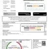 Portugal MEO utility bill template in Word and PDF format, fully editable