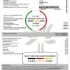 Romania Enel electricity proof of address utility bill template in Word and PDF format (.doc and .pdf)