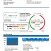 Saudi Arabia Saudi Electricity Company electricity utility bill template in Word and PDF format