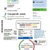 Singapore City Gas utility bill template in Word and PDF format