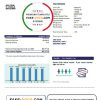 Singapore I Switch electricity utility bill template in Word and PDF format