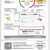 Singapore Pacific Light electricity utility bill template in Word and PDF format