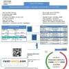 Slovenia RWE electricity proof of address utility bill template in Word and PDF format