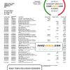 South Africa Capitec bank savings account statement template in Word and PDF format
