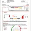 Spain EDP Energia utility bill template in Word and PDF format
