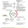 Sri Lanka LECO Company electricity utility bill template in Word and PDF format