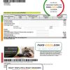 UAE Etisalat utility bill template in Word and PDF format