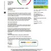 United Kingdom British Gas utility bill template in Word and PDF format, version 2