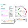 United Kingdom Octopus Energy utility bill template in Word and PDF format, 3 pages