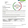 United Kingdom SSE Energy utility bill template in Word and PDF format, version 1